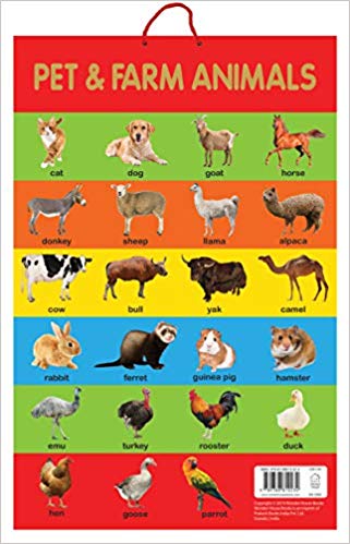 Wonder house Early Learning Educational Poster Pet & Farm Animals